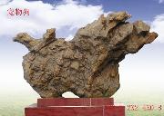 宠物狗