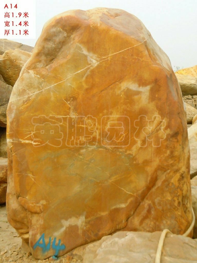 点击查看大图