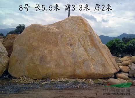 点击查看大图