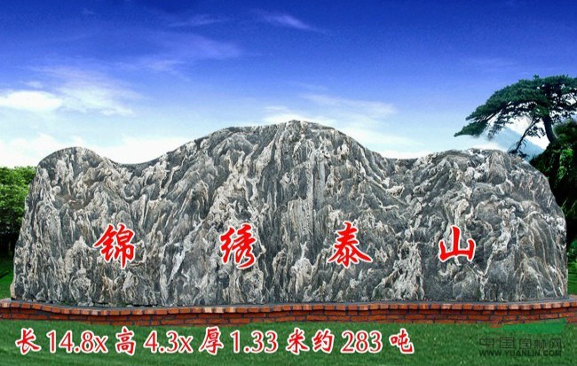 点击查看大图