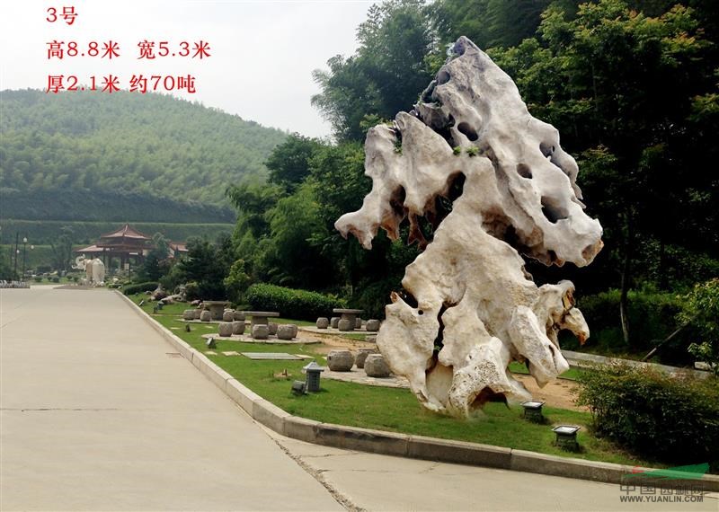 点击查看大图