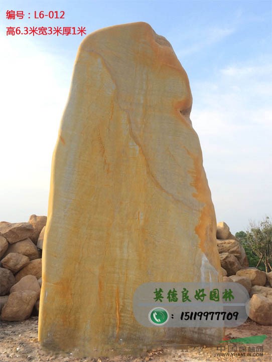 点击查看大图