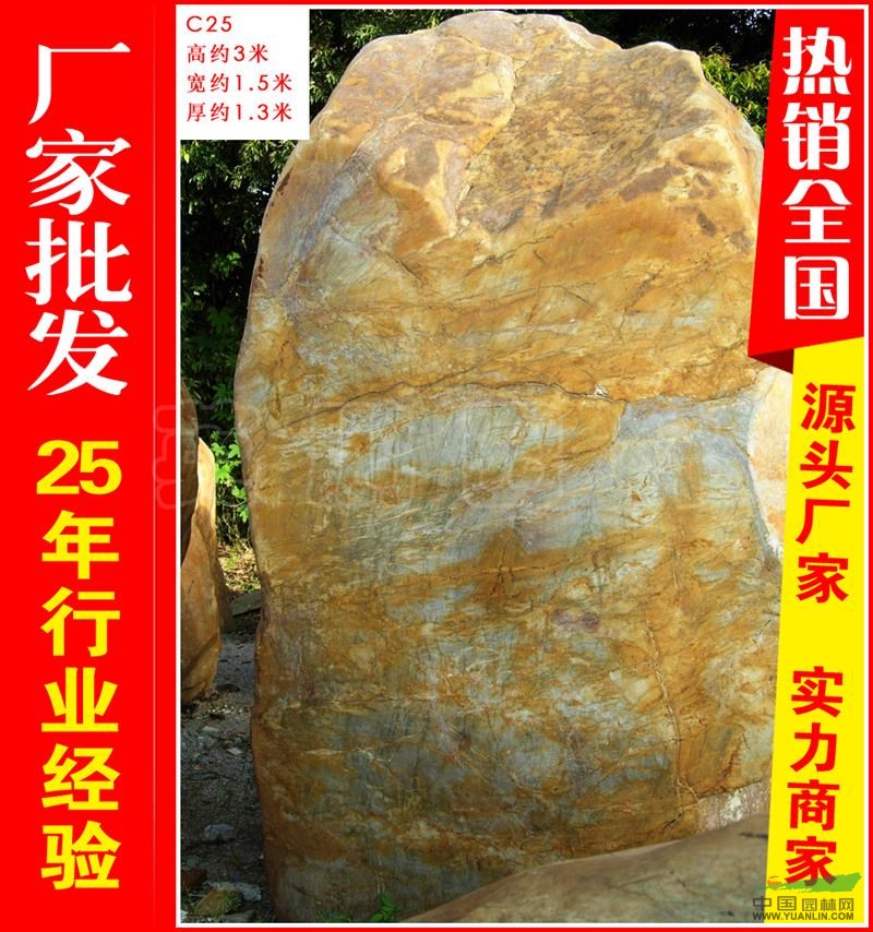 点击查看大图