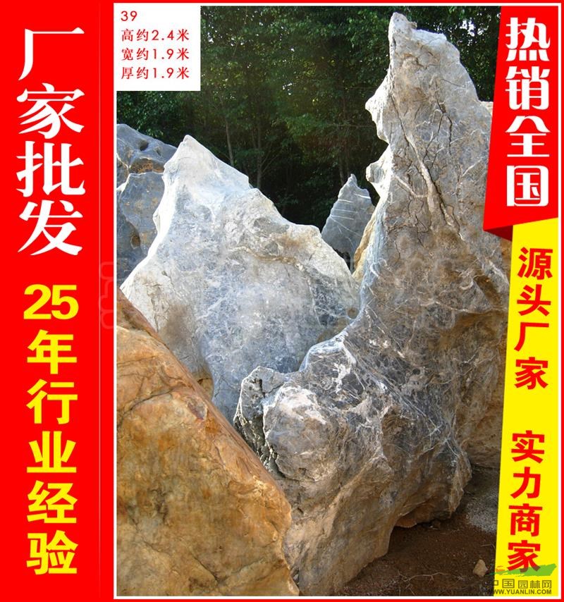 点击查看大图
