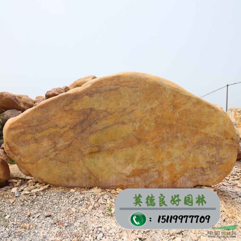 点击查看大图