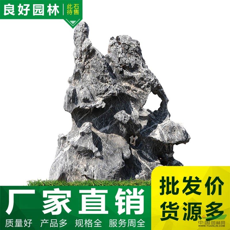 点击查看大图