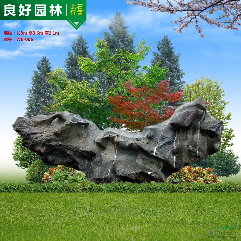 点击查看大图