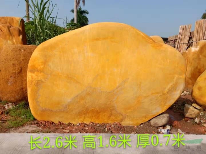 点击查看大图