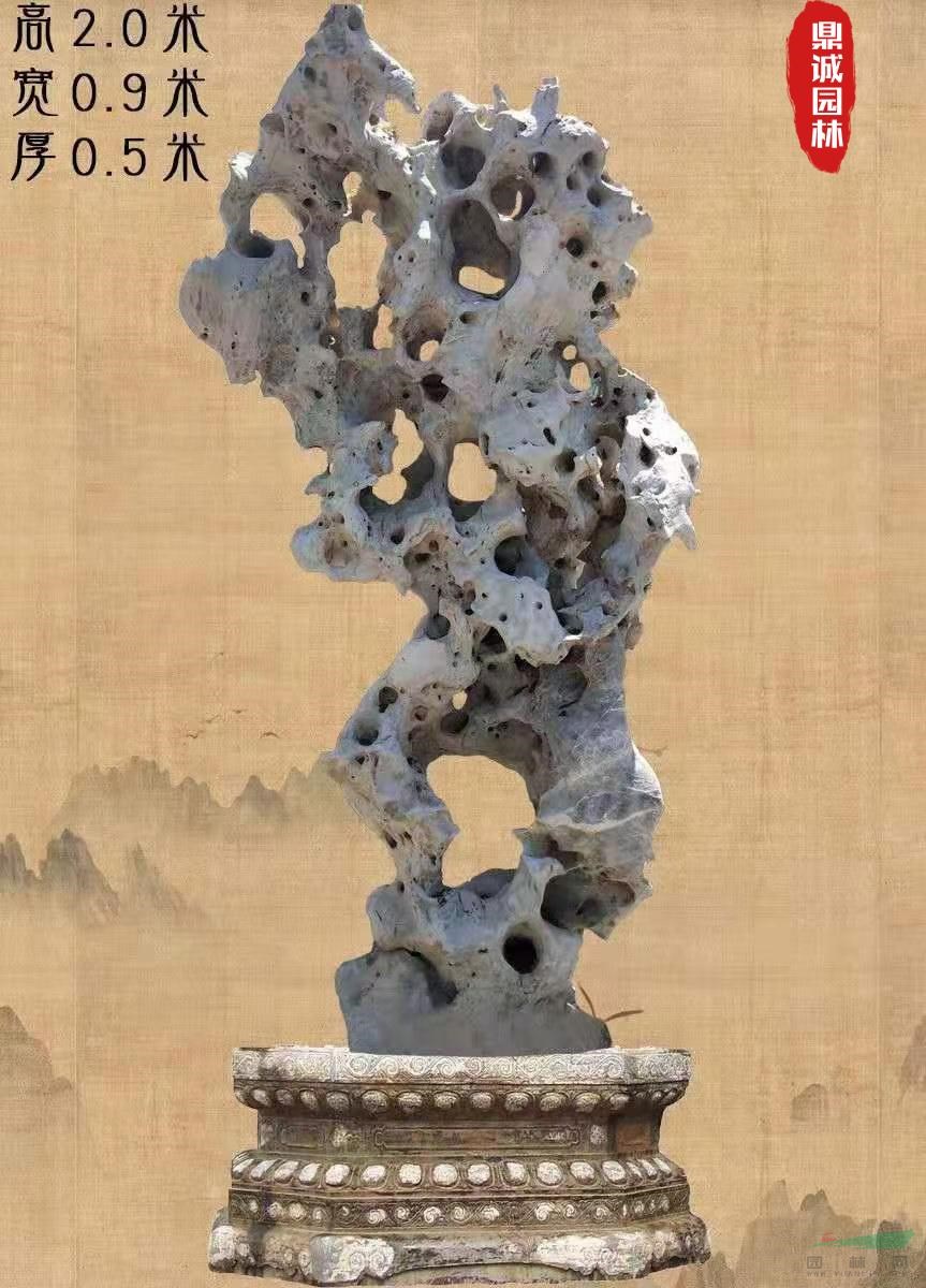 点击查看大图