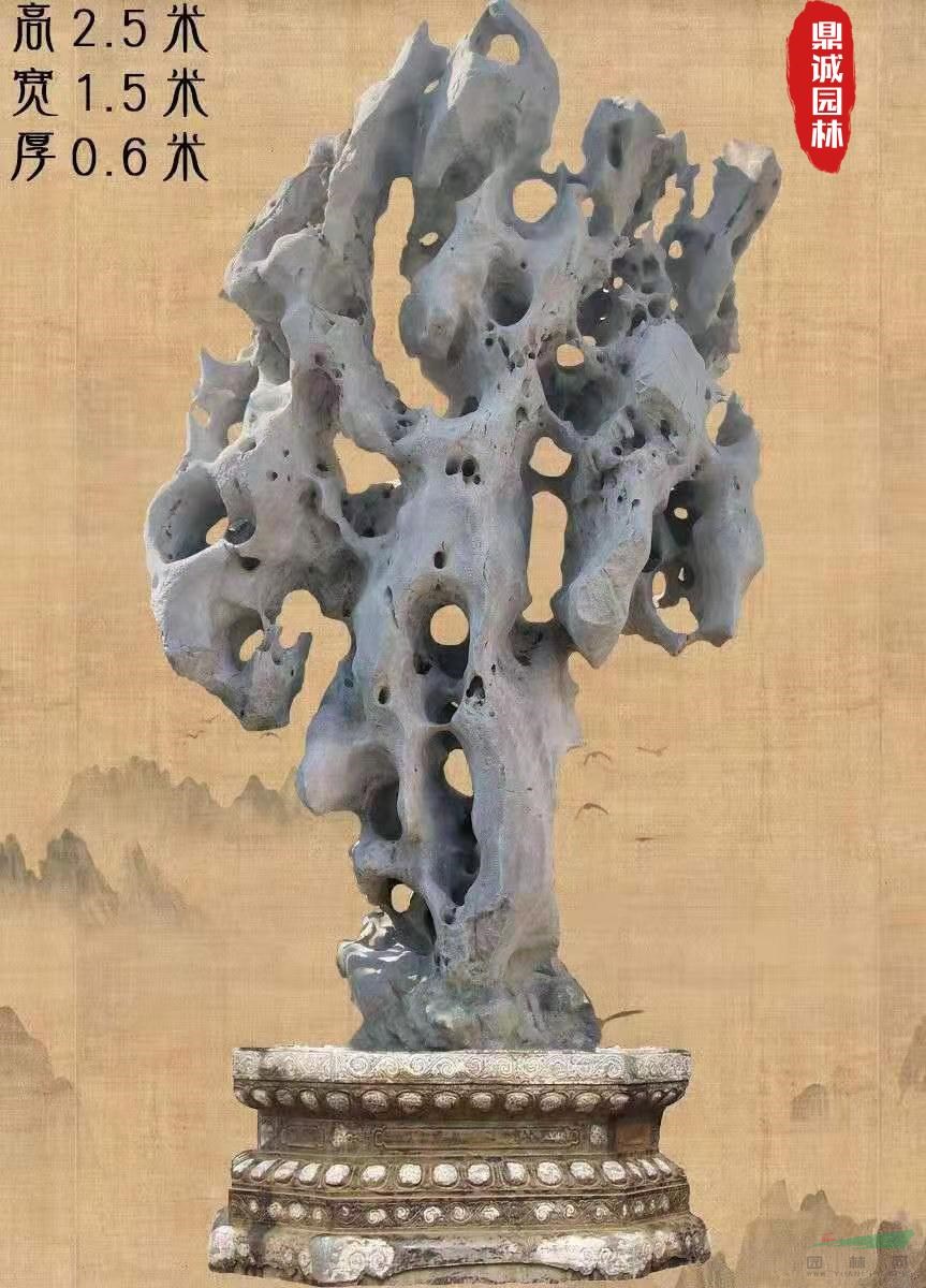 点击查看大图