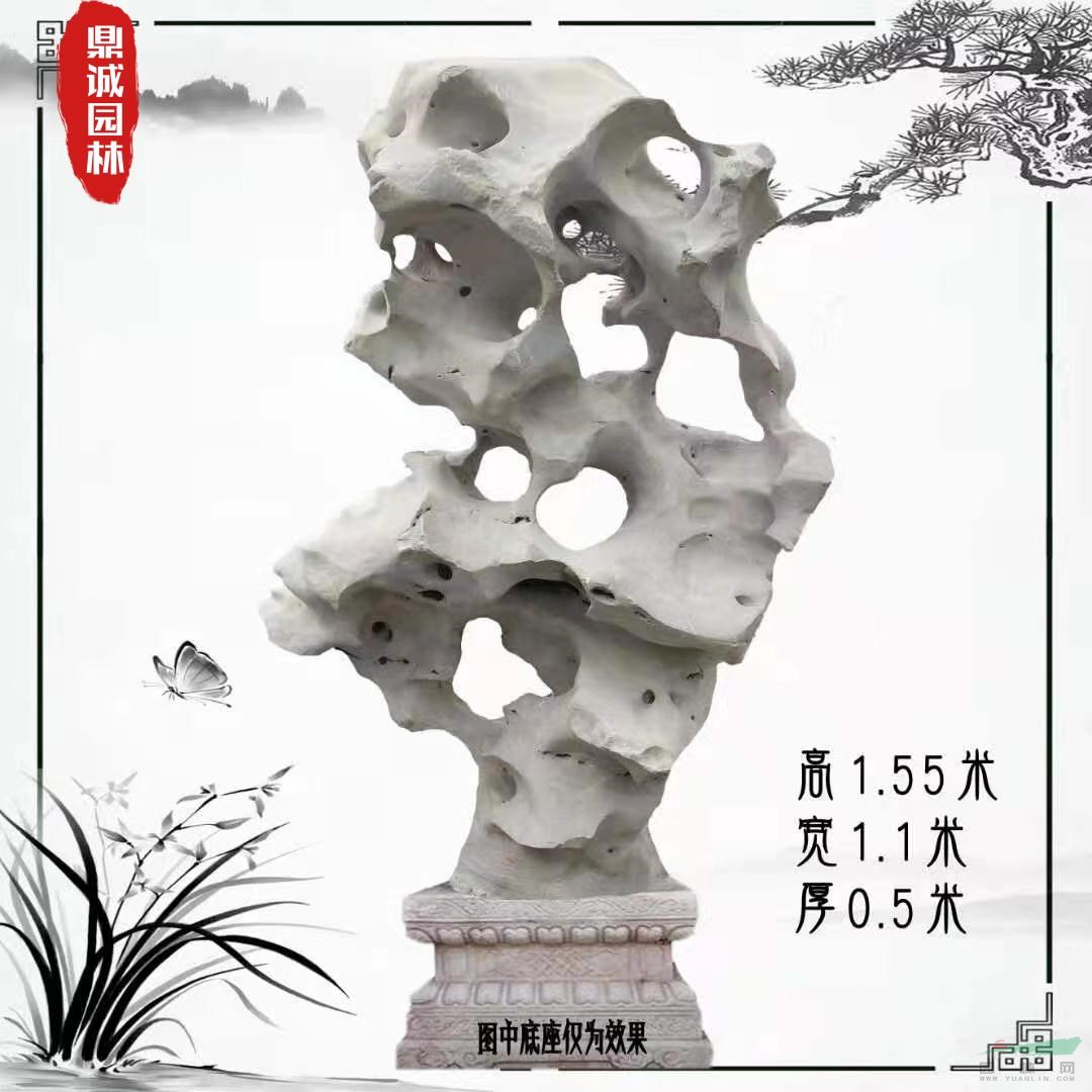 点击查看大图
