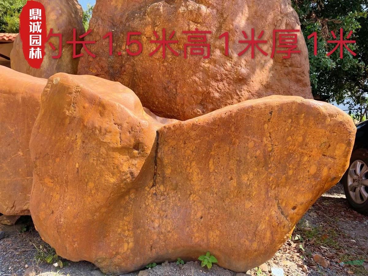 点击查看大图
