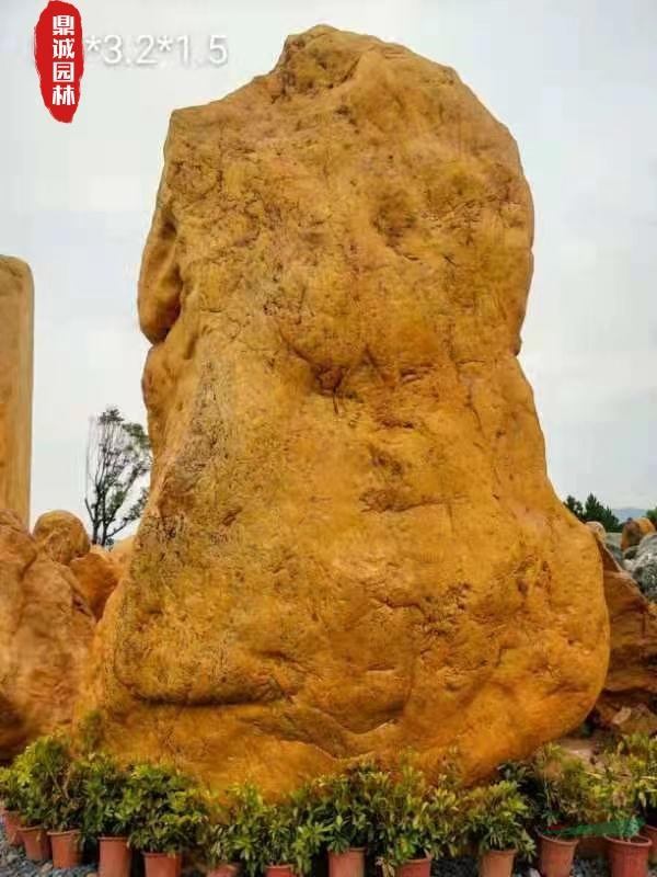 点击查看大图