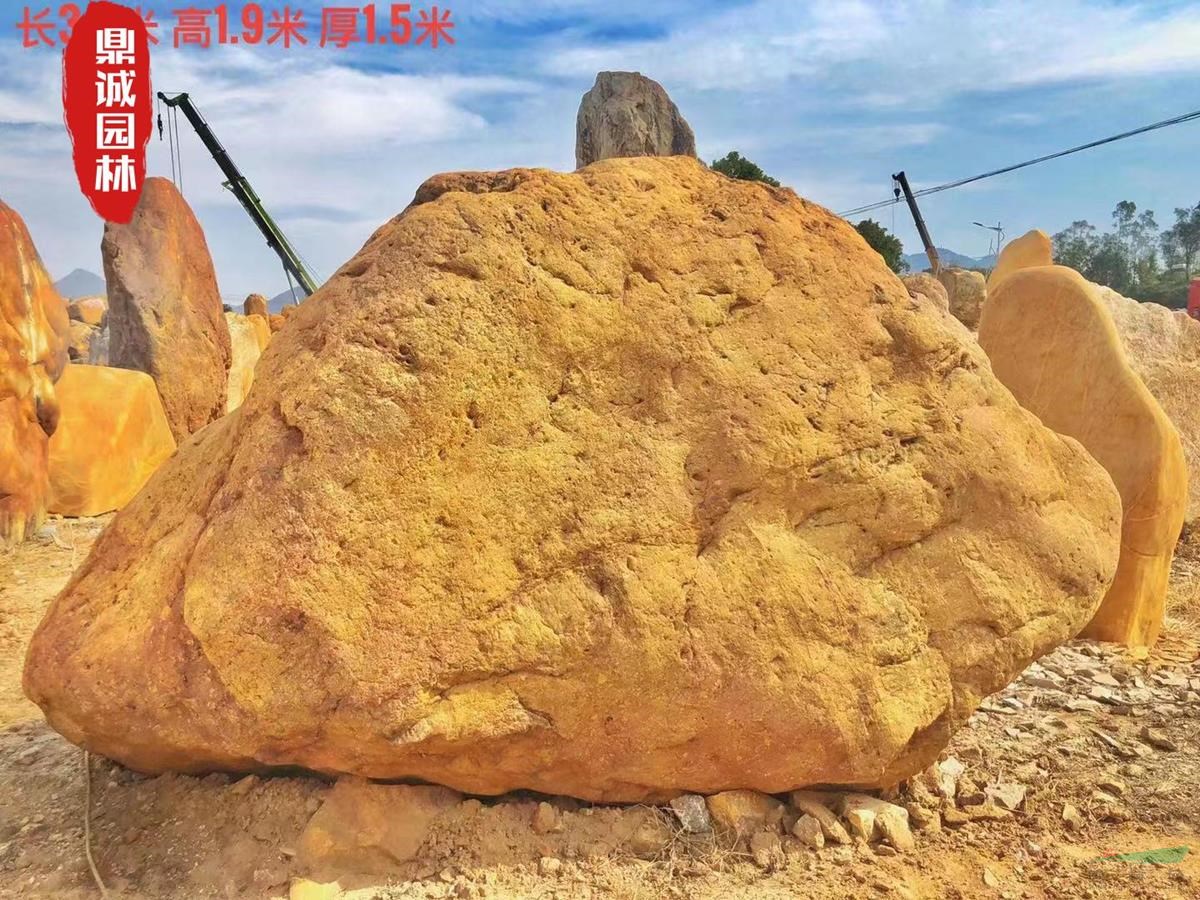 点击查看大图
